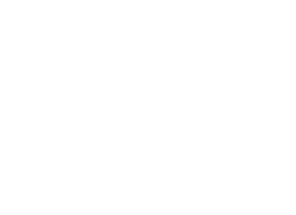 Trianz logo